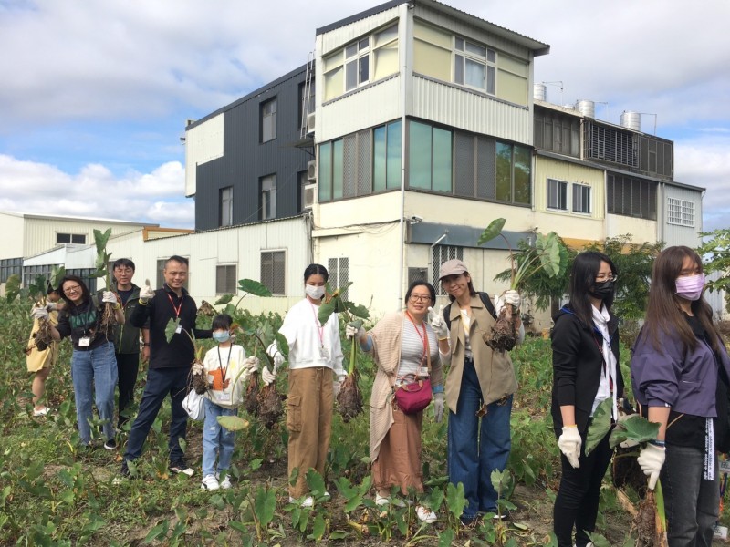 公館芋見泥、銅鑼賞杭菊