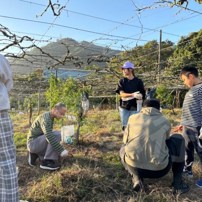 企業志工活動-台中和平椪柑園體驗